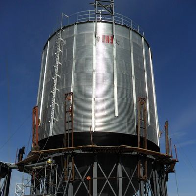 qualidade  Farms 1000l Stainless Steel Liquid Storage Tank / Silos fábrica